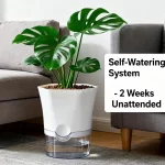 1/5pcs Transparent Self-Watering Plant Flower Pot Lazy Hydroponic Flowerpot Plastic Planters Home Garden Decoraction Planters - Image 5