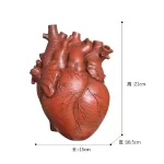 New Transparent Heart Resin Vase Anatomical Heart Flower Vase Ornament Craft Planter Pot For Office Living Room Bedroom Desktop - Image 23