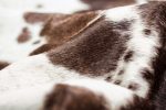 72inches x 84inches Brown White Cowhide - Rug - Image 2