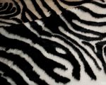 63inches x 90inches Zebra Black And White Print Area Rug - Image 2