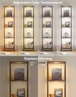 Display Shelf Floor Lamp With RGBW Light And Black Finish - Image 2