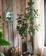 Artificial Silk Fig Tree In Pot - Image 7
