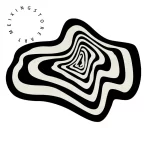 Black & White Geometric Rug - Image 22