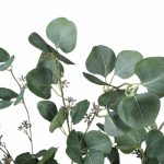 Artificial Eucalyptus Tree (Red Box Eucalyptus Polyanthemos) 150cm - Image 4