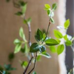 Artificial Green Leaf Faux Tree In Pot - Image 4