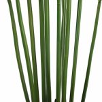Artificial Multi Stem Hawaii Palm 190cm - Image 4