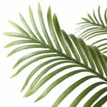 Artificial Multi Stem Hawaii Palm 190cm - Image 3