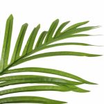 Artificial Multi Stem Hawaii Palm 190cm - Image 2