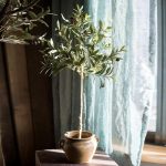 Artificial Silk Faux Olive Tree In Pot - Image 4