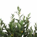 Artificial Bushy Olive Tree With Olives 180cm - Image 3