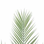 80cm Artificial Phoenix Palm Plant - Image 3
