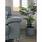 Split Philodendron (Split Leaf) 120cm - Image 4