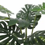 Split Philodendron (Split Leaf) 120cm - Image 3